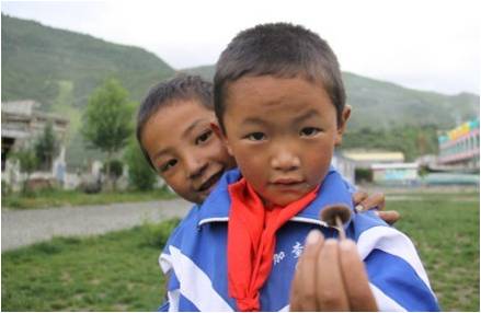 �ɂ�(g��)�W(xu��)���������(f��)����W(xu��)��֧���(du��)�T�����_(d��)�Ѻã��f��һֻСĢ�����挦(du��)�㌍(sh��)�ĺ��ӂ���֧���(du��)�T������ϣ���ǡ��������҂�������҂��������S��(sh��)����