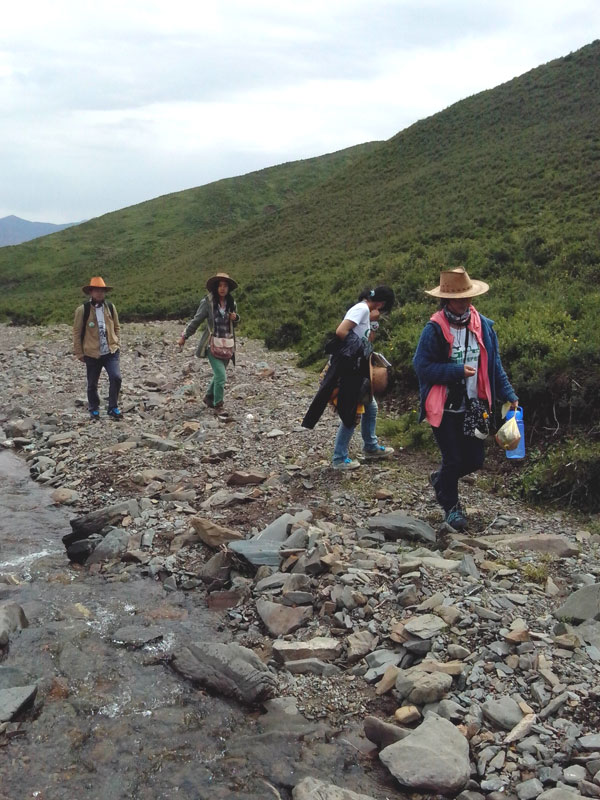 7��22�����m�ݴ�W(xu��)�Gɫ�I�F(tu��n)꠹������c(di��n)����?q��)����{(di��o)�С�꠆T������(d��ng)?sh��)ص��������f�ֲ����݈���r������ι�B(y��ng)���h(hu��n)��׃���ȷ����M(j��n)���˴��µ��˽����D��꠆T���ڮ�(d��ng)?sh��)��M(j��n)��ֲ����R������