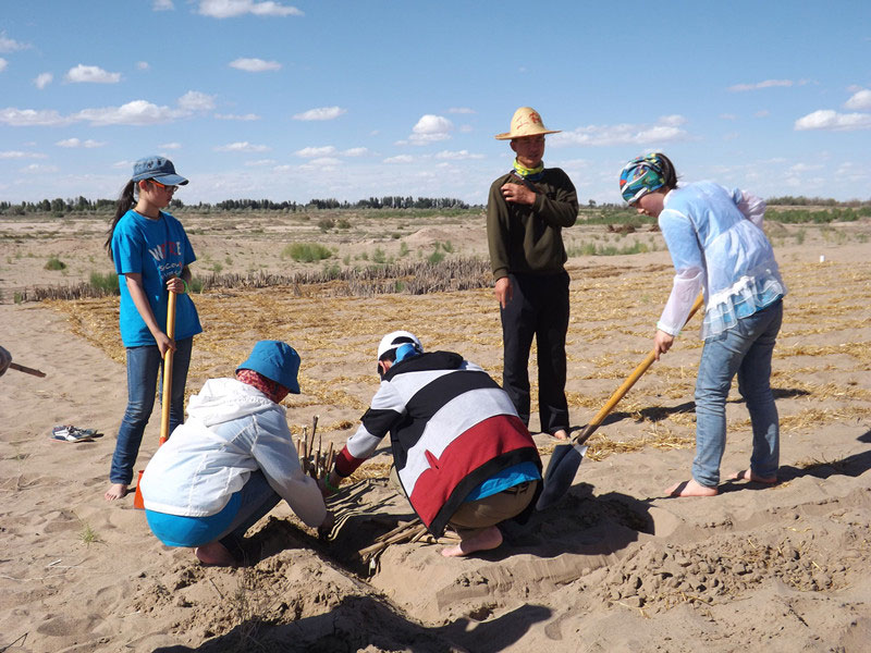 �@�N1.5��Ҋ�������ݸ�������ɳЧ����������^4��5���͕��L(f��ng)�g��������Ҫ�����a(b��)����