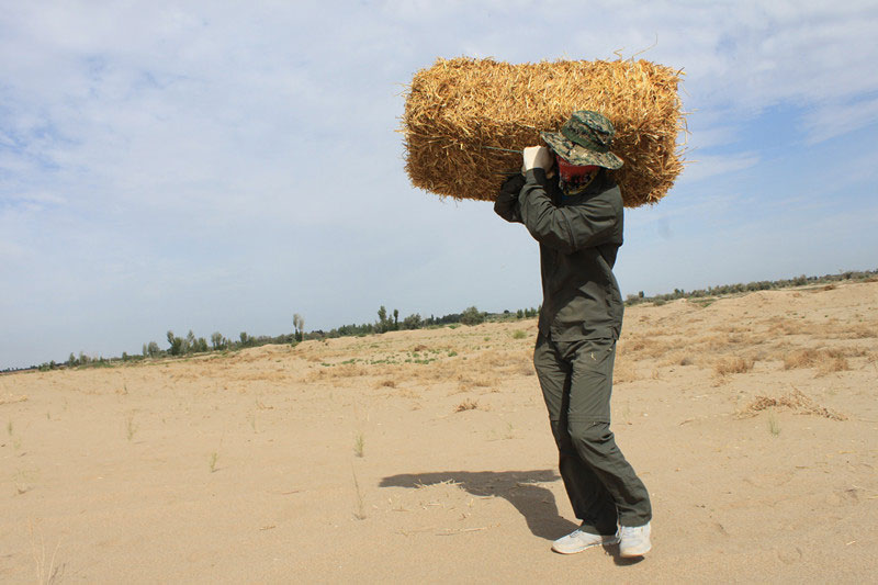 �F(tu��n)�T���i�������������ϳ����������������؟(z��)����