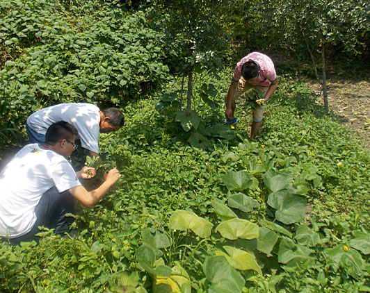 �ڶ������(du��)�T���_(k��i)ʼ��(l��i)�����B(t��i)�r(n��ng)��(ch��ng)�w�(y��n)�r(n��ng)��������������ժ�ˡ�