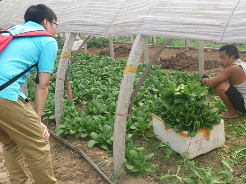 ���`꠆T�c��?sh��)��r(n��ng)��e�O��ͨ������������}���˽��߲˴�������P��r��