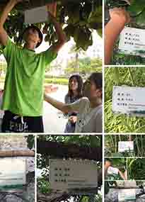 �K���r(n��ng)�W(xu��)Ժ�O(sh��)Ӌ(j��)У�@ֲ����Ƭ�������K�r(n��ng)�Gɫ���}