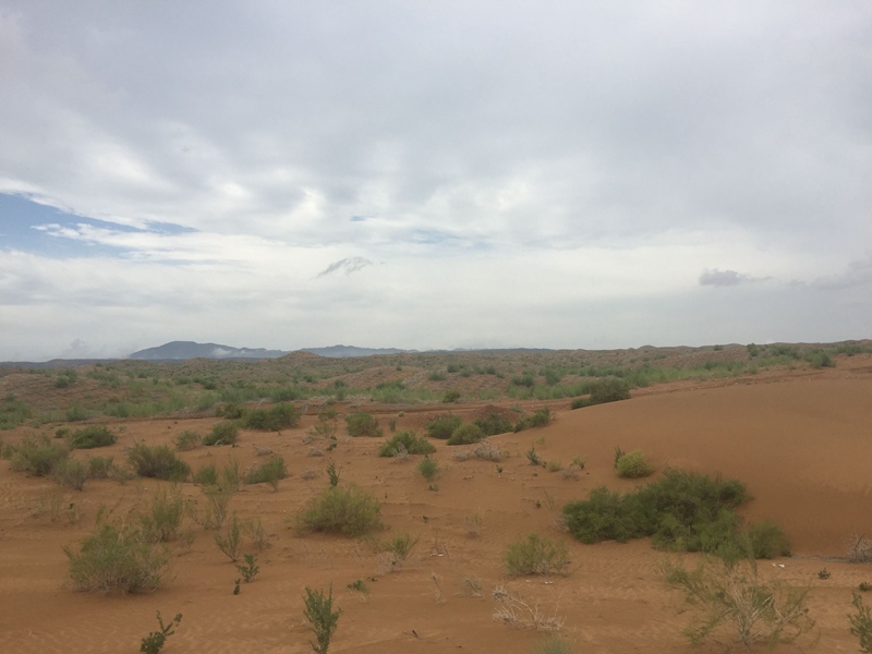 �v����ɳĮ�޾W(w��ng)������ݷ����ﲼ�M�[�d��ɳ��ֲ����