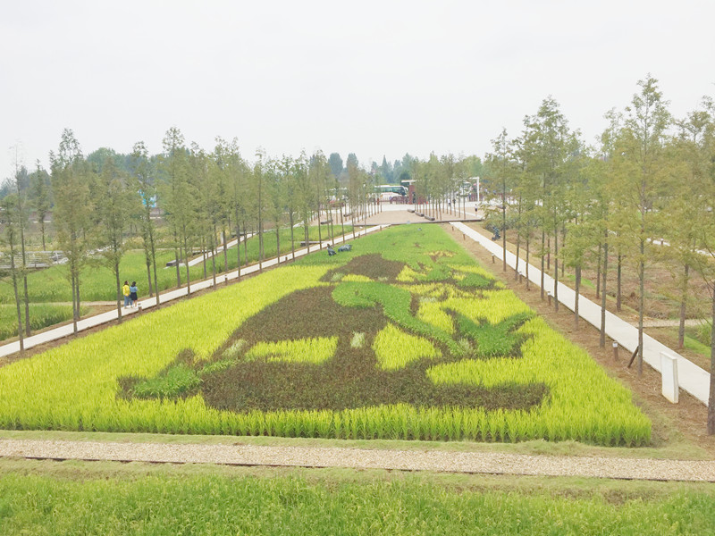 ������L�������������zӰ����־�ۣ�