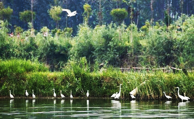 ͯԒ�ϼң���������Ԋ�����Ϙ���f����