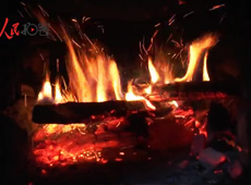 �t��t����~����������ʳ���ρ�