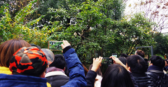 �@�����ӵ������ɶ����W(w��ng)�j(lu��)���ˁ�(l��i)�c(di��n)ٝ