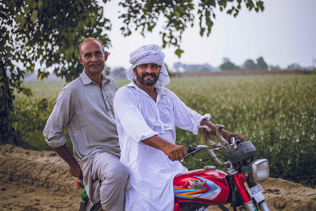 芝麻種植基地給當?shù)厝藥砀嗑蜆I(yè)機會。（人民網(wǎng)記者 薛丹攝）
