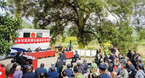 古樹(shù)保護(hù)區(qū)巡回審理失火案